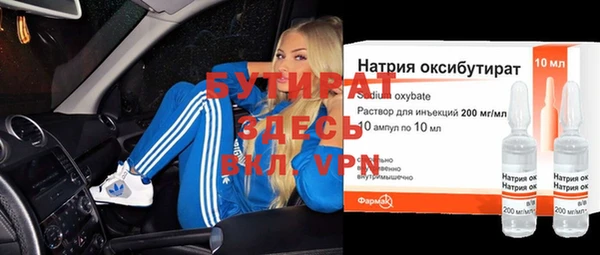 шишки Билибино