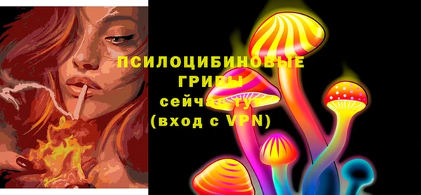 PSILOCYBIN Богородицк