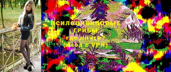 PSILOCYBIN Богородицк
