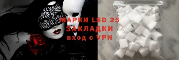 дживик Вязьма