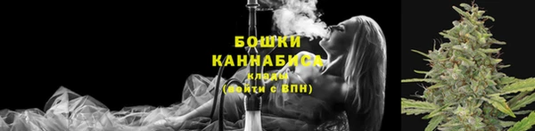 тгк Бронницы