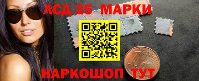 гидропоника Бердск