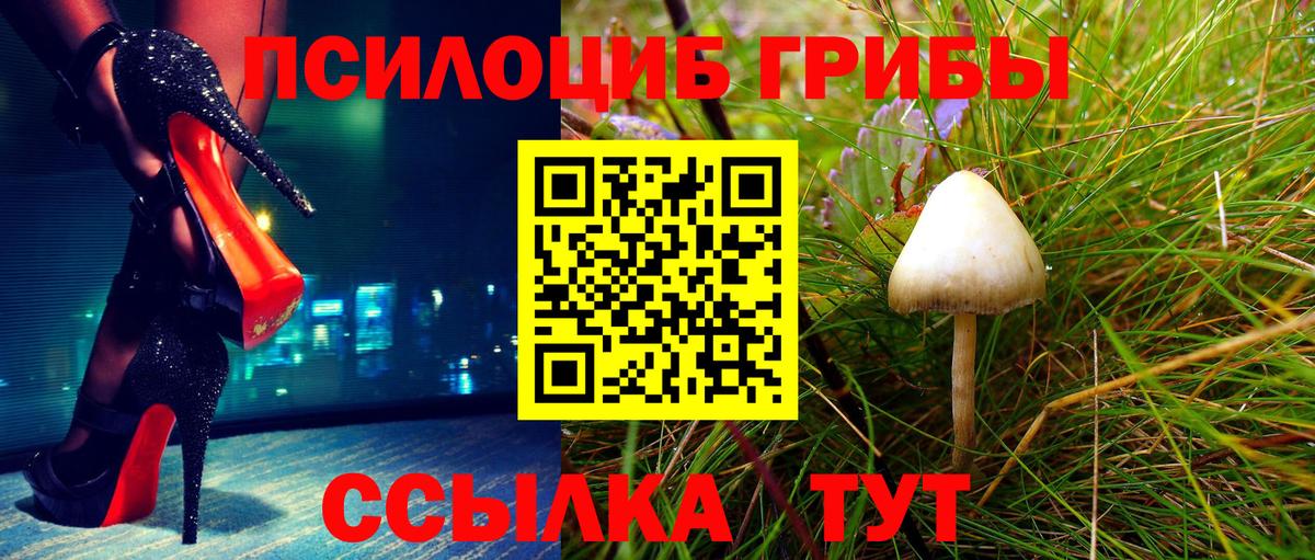 Галлюциногенные грибы GOLDEN TEACHER  Вход с VPN  Псилоцибиновые грибы Cubensis  Великий Устюг 
