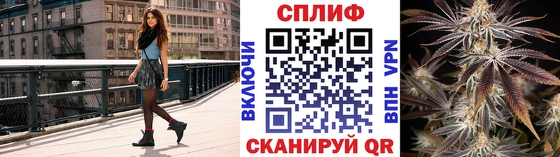 Бошки марихуана план  купить   Великий Устюг 